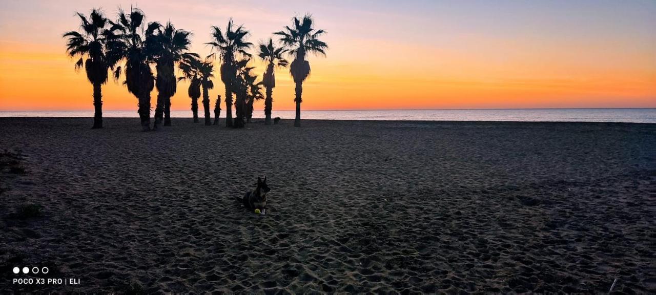 קמארוגה Encantador Apto En La Playa מראה חיצוני תמונה