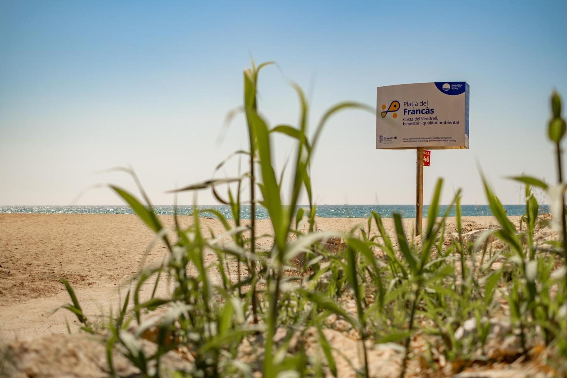 קמארוגה Encantador Apto En La Playa מראה חיצוני תמונה